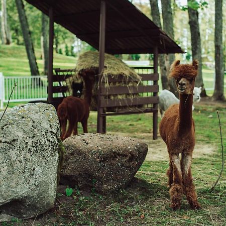 Taujenu Dvaro Sveciu Namai Taujenai Bagian luar foto