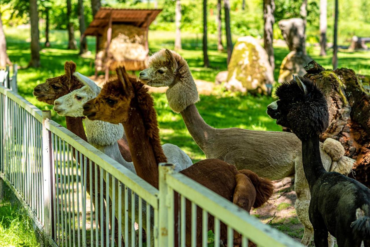 Taujenu Dvaro Sveciu Namai Taujenai Bagian luar foto